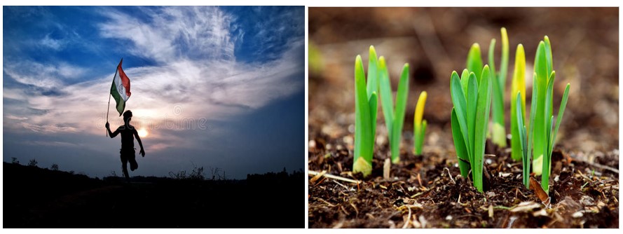 Economic Survey 2021-22: Highlights